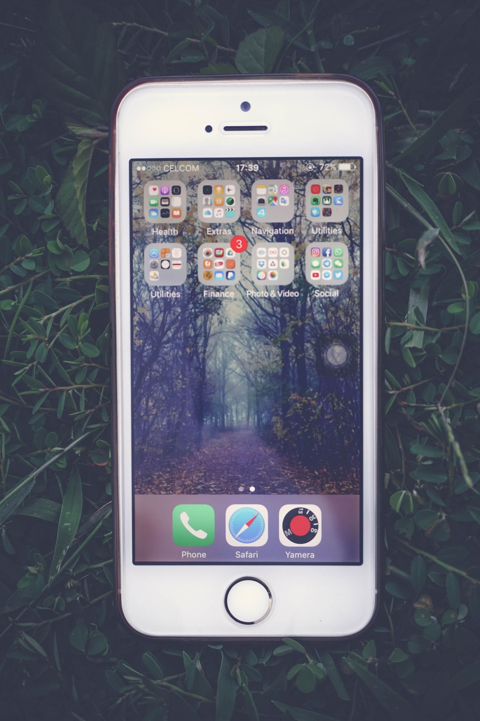 iPhone lying on grass, ready for an iOS 26 cache cleanup