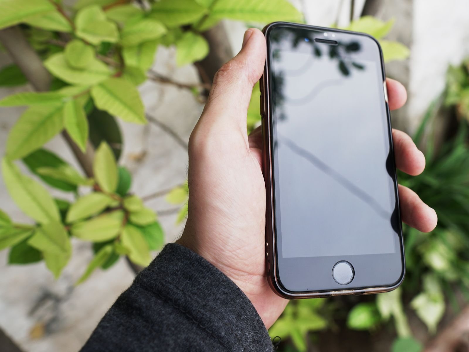 iPhone next to green leaves, ready for a Safari cache clear